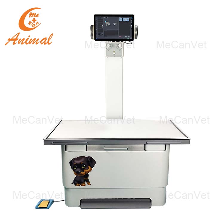 32KW Veterinary Digital X-Ray Machine for Vet Hospital